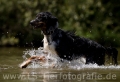 15 Wasseraction